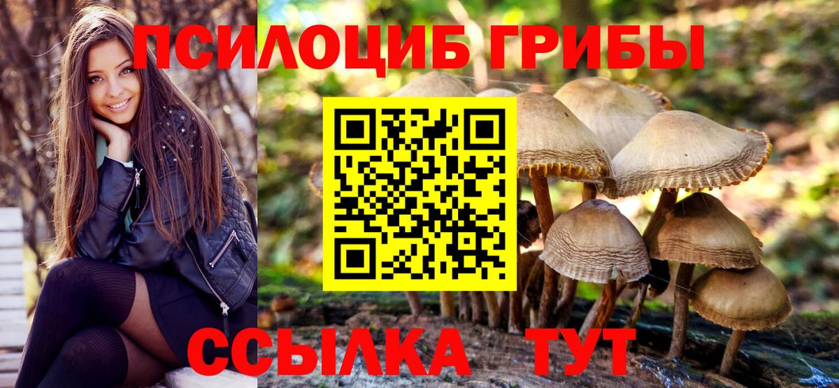 Галлюциногенные грибы GOLDEN TEACHER  Вход с VPN  Псилоцибиновые грибы мицелий  Ачхой-Мартан 